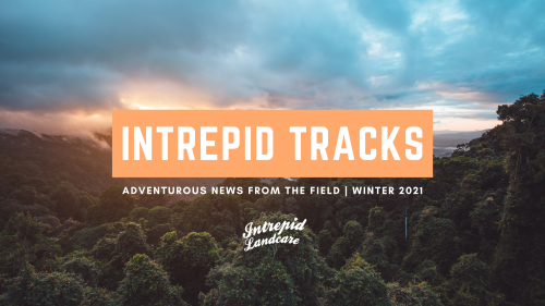 Intrepid Tracks